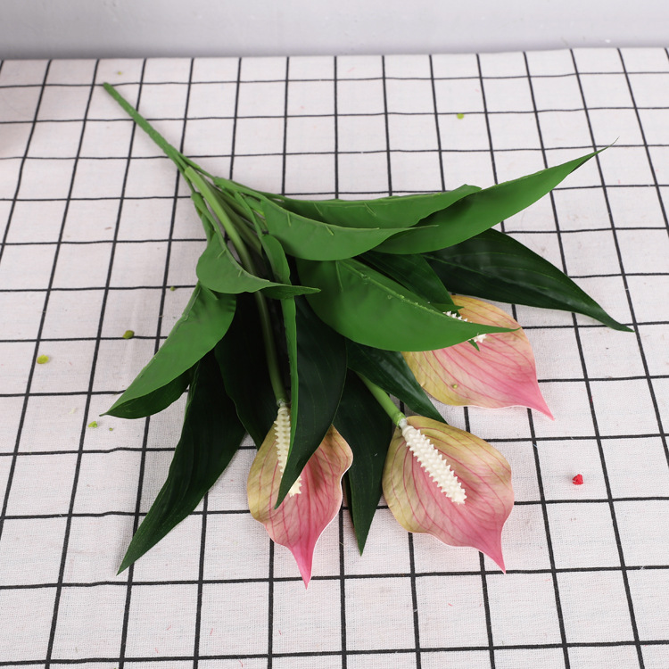 Lys de la paix à 3 fleurs [rose clair]
