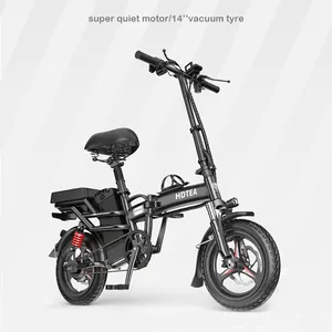 250W Mini Ebike 14inch Electric Motorbike Manned Electric Bicycle For White Collar