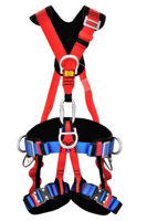 Sertifikat CE pabrik langsung Harga terbaik jatuh perlindungan seluruh tubuh Harness keselamatan dengan Lanyard Pro