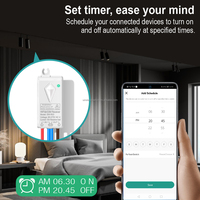 Commutateur intelligent sans fil Tuya WiFi Conmutador Inteligente Commutateur de télécommande à commande vocale Protection contre les courts-circuits de charge Max 10A