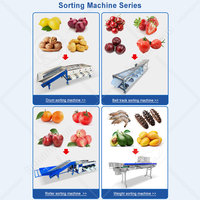 OCEAN Industriële Olijven Sorteermachine, Citroen Sorteermachine, Aardappel- en Tomatensorteermachine, Was- en Sorteermachine