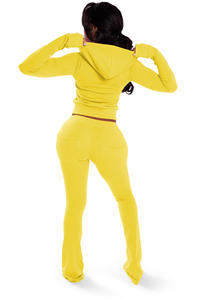 Setelan pakaian santai kustom musim gugur setelan dua potong beludru modis ritsleting ganda bertudung setelan olahraga wanita pelari <span class=keywords><strong>Set</strong></span> pakaian wanita - Product Image 6