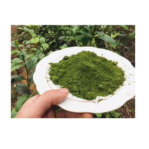 Extrait doux de thé vert Camellia Sinensis en poudre botanique naturelle pour mélanges de thé, préparations de boissons et formulations alimentaires - Product Image 3