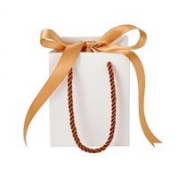 Sacs cadeaux en papier kraft écologiques avec poignée en ruban, personnalisés avec logo, pour l'emballage des bougies