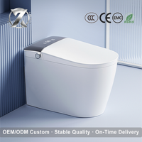 Toilette intelligente avec couvercle à fermeture douce, commande à distance, chasse d'eau automatique, lumière nocturne, céramique sanitaire, eau chaude, nettoyage