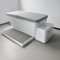 Refroidisseur d’eau portable à bain de glace avec filtre à ozone pour la thérapie par immersion froide Système de refroidissemen