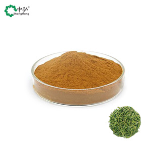 Cấp thực phẩm <span class=keywords><strong>Yerba</strong></span> <span class=keywords><strong>Mate</strong></span> chiết xuất trà bột - Product Image 2