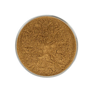 Extracto de Té Verde Herbal en Polvo Premium al por Mayor Personalizable 10:<span class=keywords><strong>1</strong></span> 20:<span class=keywords><strong>1</strong></span> Soluble en Agua Suplemento de Grado Alimenticio Puro - Product Image 3