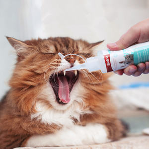 Punto dental gel fresco <span class=keywords><strong>perro</strong></span> <span class=keywords><strong>aliento</strong></span> - Product Image 3