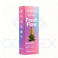 Stylo diffuseur d'herbes OEM avec Guarana, thé vert, menthol, vitamine B12, appareil d'aromathérapie portable