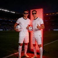 Panneau de luminothérapie rouge Magique Power avec chauffage thérapeutique pour le bien-être et l'usage domestique