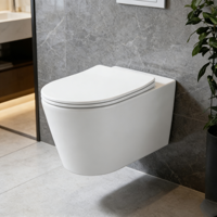 Vente en gros usine WC suspendu en céramique monobloc moderne européen avec siphon à eau usée et réservoir encastré