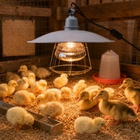 Kit de Lampe Chauffante Étanche et Anti-Explosion pour Volaille - Réchauffeur Infrarouge pour Poussins avec Abat-jour pour Ferme