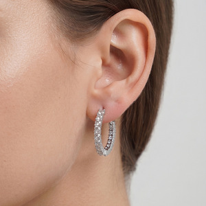 Pendientes de Aro de Aleación de Zinc con Engaste de Garra y Zirconia Redonda, Adornados, Modernos para Uso Diario - Product Image 1
