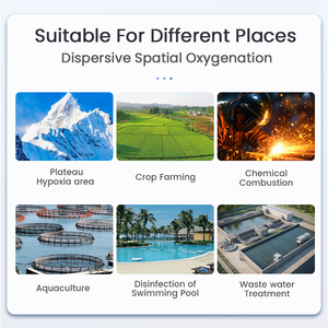 Micitech <span class=keywords><strong>OEM</strong></span> liên tục oxy thế hệ nhà máy Cá trang trại PSA công nghiệp xách tay oxy Máy phát điện - Product Image 5