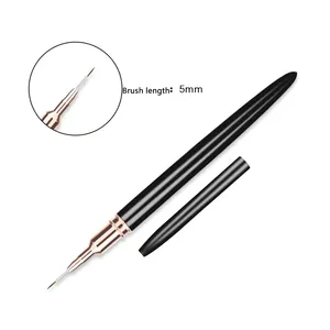 Set di matite per unghie penna da disegno a punto per disegno a forma di fiore disegno con ago dipinto set di penne per unghie