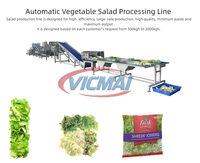 Productiefaciliteit voor diepvriesgroenten: broccoli, spinazie, erwten, maïs; was-, blancheer-, IQF-vries- en transportbandverwerkingslijn