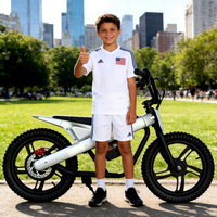 Nouveau modèle 2026 Vélo électrique 48V pour enfants, pneu 16 pouces, vélo électrique urbain à assistance électrique, étanche IP54, 3 vitesses, autonomie 25 km, fabriqué en Chine