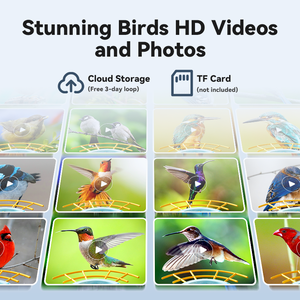 Kim loại <span class=keywords><strong>Bird</strong></span> Feeder với máy ảnh ai chim công nhận năng lượng mặt trời thông báo ngay lập tức tự động Full-HD <span class=keywords><strong>Bird</strong></span> ghi âm - Product Image 4