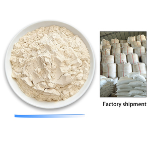 Polvo de Tierra de Diatomeas de Calidad Estable a <span class=keywords><strong>Precio</strong></span> Bajo Directo de Fábrica para Tratamiento de Aguas Residuales, Purificación de Aire e Industria - Product Image 1