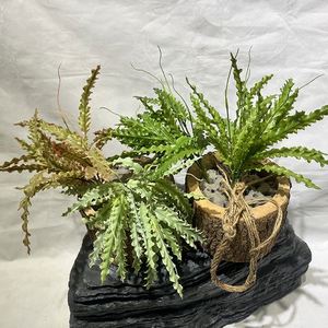 EG-J237 Décoration de porte <span class=keywords><strong>en</strong></span> <span class=keywords><strong>pot</strong></span> Bouquet de plantes artificielles Faux fleur Plante verte Fougère - Product Image 6