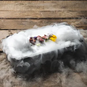 Suşi tabağı kuru buz depolama restoran otel için taze tutma plakası seramik kuru buz kalıbı moleküler lezzetleri yemekleri