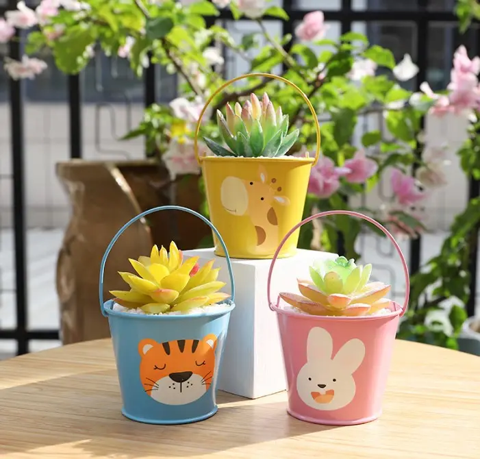 Criativo cartoon suculento vaso mini varanda mesa vaso de ferro planta carnuda micro-paisagem vaso