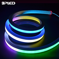 Les lampes au néon flexibles led rgb, lumière de corde, lumière de bande fluo flexible 12v