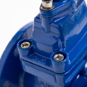 Vanne à opercule à tige non montante en fonte ductile PN16 GGG50 avec siège élastique en EPDM et bride, fabrication OEM/ODM - Product Image 6