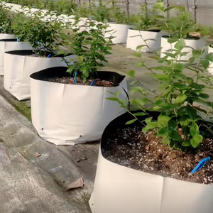 Tùy Chỉnh Màu Đen Nhựa Nhà Máy Thở Phát Triển Túi Cho Nhà Máy Hoa Vườn Ươm Cây Lỗ Nhiều Túi Phát Triển Túi Cho Các Nhà Máy - Product Image 1