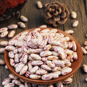 Haricots Blancs Premium Nouvelle Récolte Certifiés Biologiques Vente en Gros pour Fabricants Alimentaires Qualité Export - Product Image 1