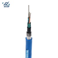 Kabel Serat Optik Bawah Tanah Tahan Api Single Mode 4~96 Core MGTS33 Berlapis Baja untuk Komunikasi Pertambangan