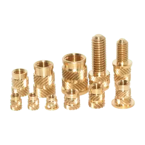 Bolts and Nuts Brass Threaded Insert Nut 09321020 M2 M3 M4 M5 M6 M8 M10 M12