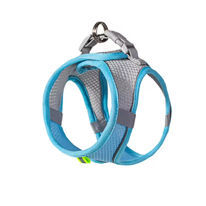 Harnais et laisse pour chien F11, pour la marche, les voyages, les aventures, anti-évasion, sportif, mignon, pour chaton, pour chien de grande et petite taille - Product Image 2