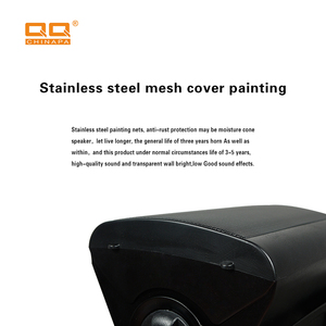 Hệ Thống Loa Treo Tường Thiết Bị Âm Thanh Chuyên Nghiệp/Bộ Khuếch Đại/Loa/Loa Gắn Tường Âm Thanh Bằng Nhựa Kim Loại Không Dây Di Động - Product Image 4