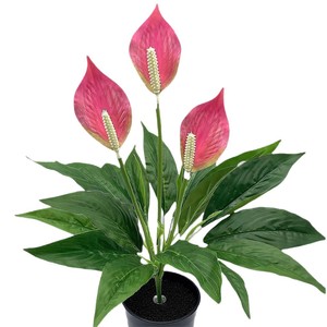 Plantes artificielles Mengjie Anthurium rouge imprimé en 3D en PVC souple en pot Décoration intérieure - Product Image 5