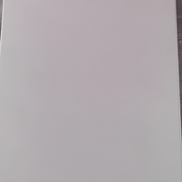 Panneau de plafond en aluminium avec boucle, imperméable et ignifuge, pour salle de bain, hôtel, centre commercial