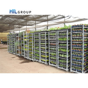 <span class=keywords><strong>Chariot</strong></span> à Champignons, Serre Horticole Danoise, Transport de Serre, <span class=keywords><strong>Chariot</strong></span> à Plantes Néerlandais - Product Image 5