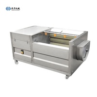 Yizhong — éplucheur professionnel pour légumes, fruits, gingembre et pommes de terre, avec rouleau, Machine à éplucher