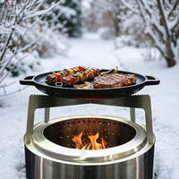 Brasero en acier inoxydable pour bois avec plaque de cuisson en fonte pour chauffage et cuisson extérieurs