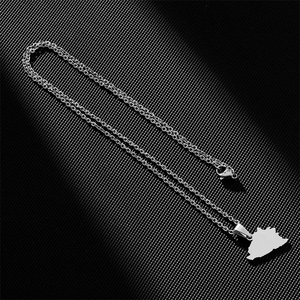 Collares con colgante de mapa de Bosnia y Herzegovina, collares de cadena de acero inoxidable de Color plateado/dorado, joyería de Bosna Herzegovina - Product Image 4