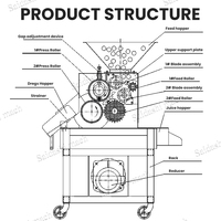 Stabiele prestaties passievruchtenmachine / passievruchtenpulp extractor / passievruchtenpulp machine