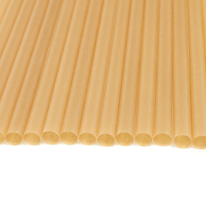 Bagassa di canna da zucchero compostabile Eco-Friendly biodegradabile 6X210mm paglia di canna da zucchero - Product Image 6
