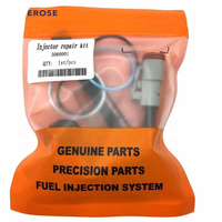 Kit de reparación de inyector de combustible para motor diésel M11 N14 de maquinaria pesada 3060001