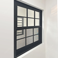 Ventanas de Guillotina Dobles de Aluminio con Doble Acristalamiento Negro para Construcción, Diseño Nuevo 2026