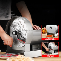 Elektrische fruit- en groentesnijder, rasp en snijmachine voor appel, mango, olijf, plantain, gedroogd fruit etc.