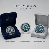 Pièce commémorative 3D personnalisée en relief, Serpent de mer Stormglass, Pièce de défi nautique, Cadeau souvenir, Vente en gros, Fabrication ODM