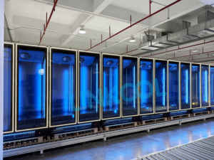 Congélateur à affichage vertical commercial avec refroidissement par ventilateur | Réfrigérateur à bière et boissons énergétiques à porte en <span class=keywords><strong>verre</strong></span> pour bar - Product Image 6