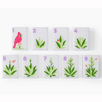 Mahjong de style américain en acrylique, design moderne de luxe, mini ensemble de voyage portable avec emballage en boîte en carton