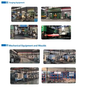 ओम कस्टम एल्यूमीनियम स्टील फोर्जिंग मशीन के लिए गर्म फोर्जिंग कोल्ड फोर्जिंग - Product Image 4